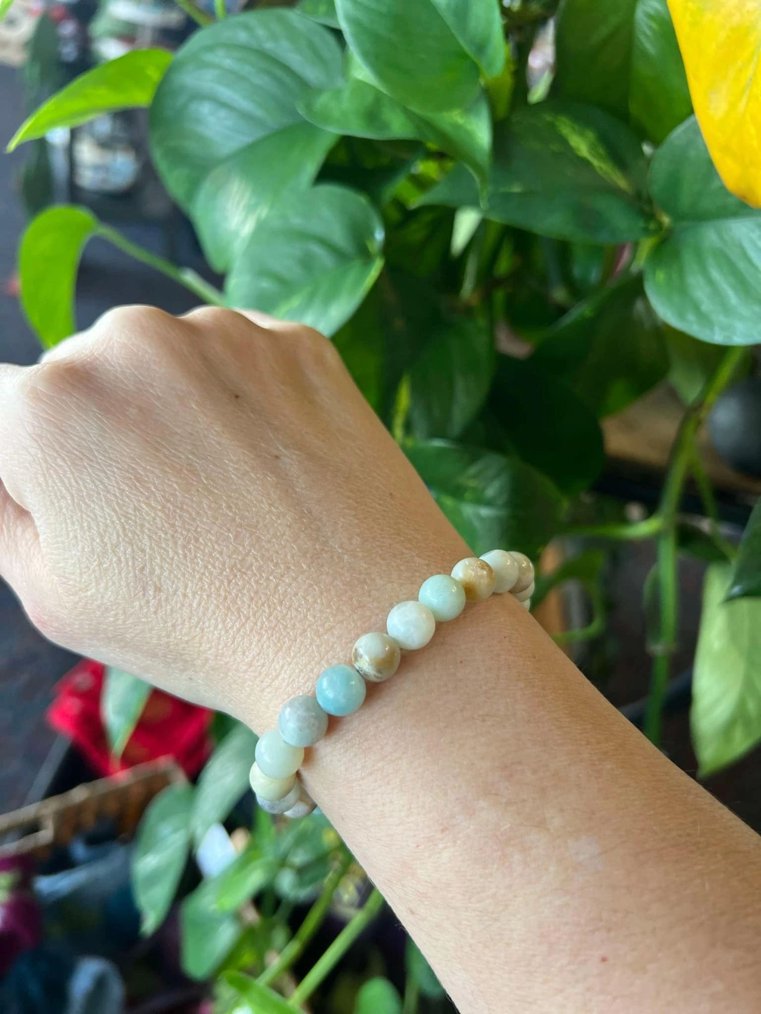 Ocean's Embrace Blue Aragonite